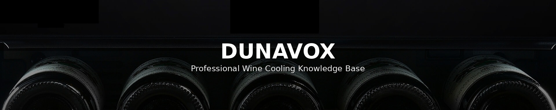 Dunavox professionella vinkyllösningar — inbyggda i kolumn och helintegrerade vinkylare